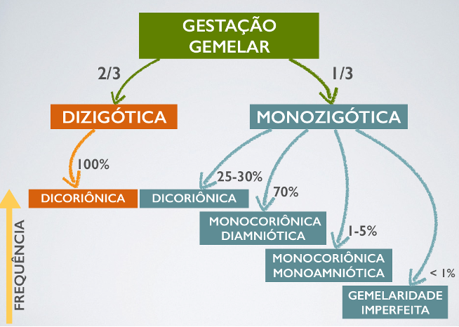 gemeos_explicacao